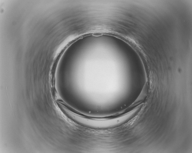 X0000056321422200509092251