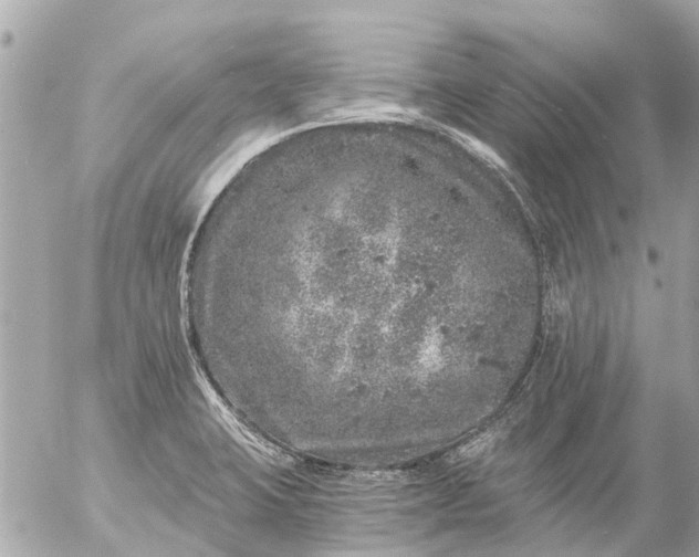 X0000056321423200509092251