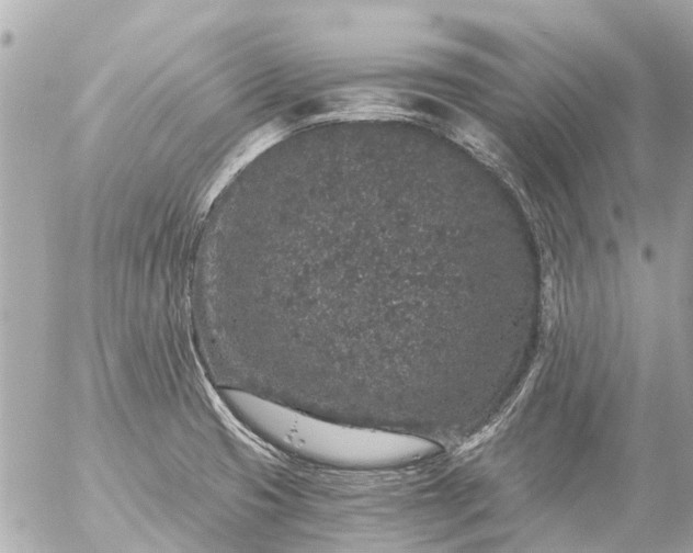 X0000056321425200509092251