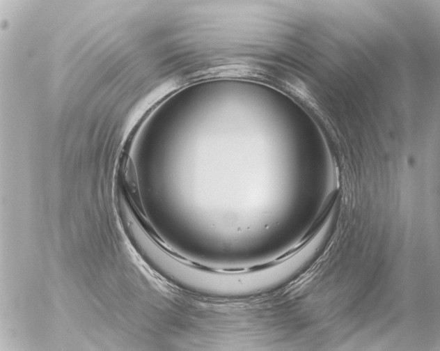 X0000056321426200509092251