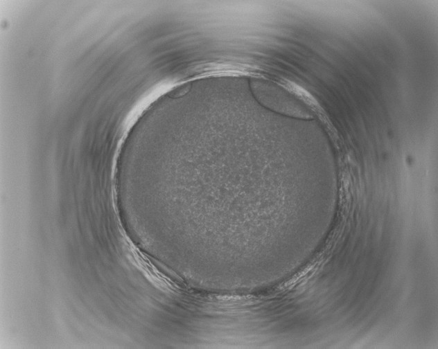 X0000056321427200509092251