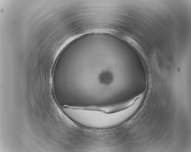 X0000056321428200509092251