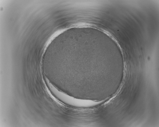 X0000056321429200509092251