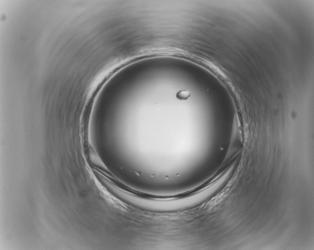 X0000056321430200509092251