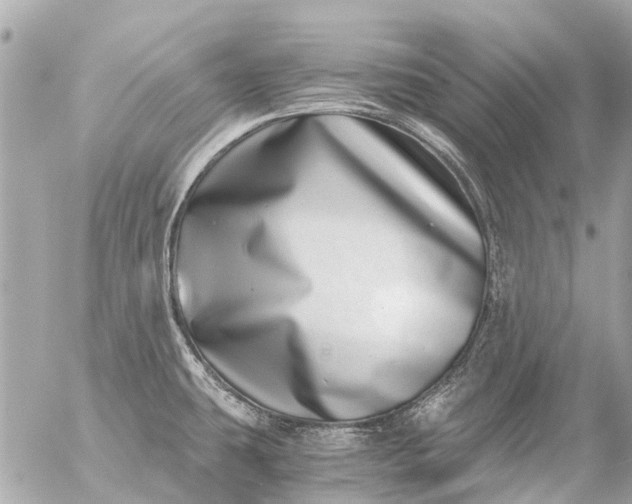 X0000056321431200509092251