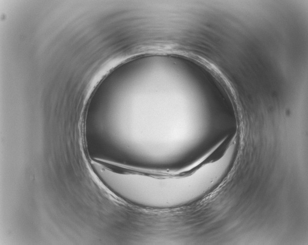 X0000056321432200509092251