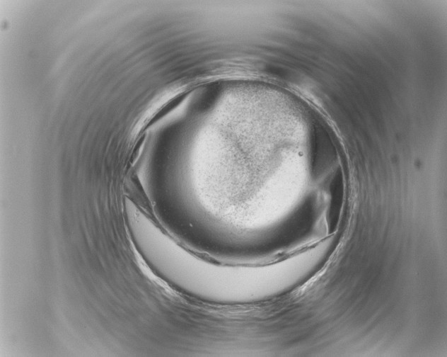 X0000056321433200509092251