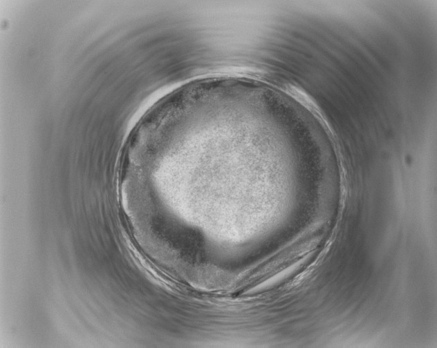 X0000056321436200509092251