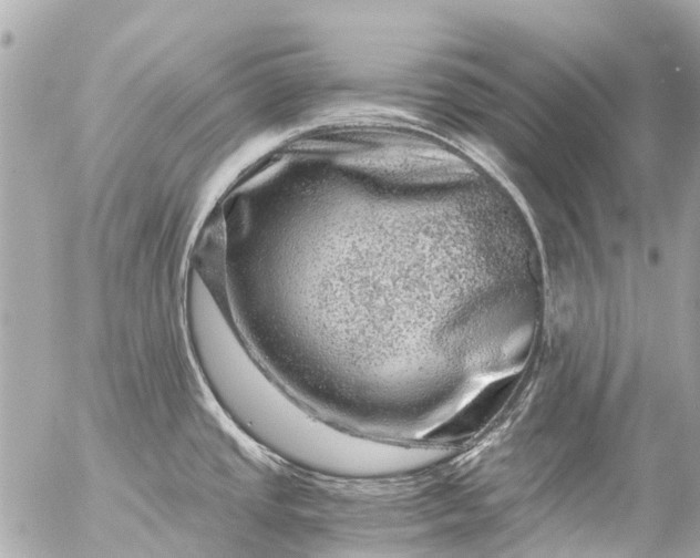 X0000056321437200509092251