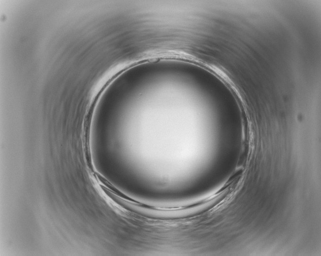 X0000056321438200509092251