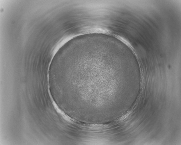 X0000056321439200509092251