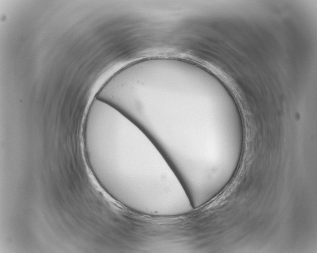 X0000056321440200509092251