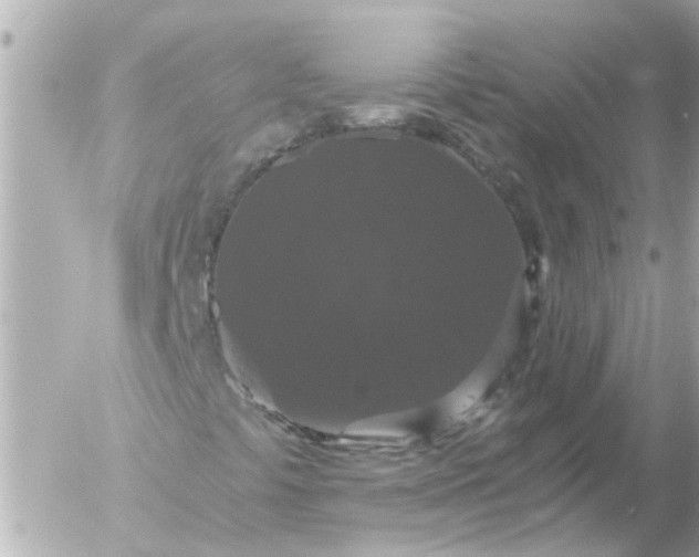 X0000056321441200509092250