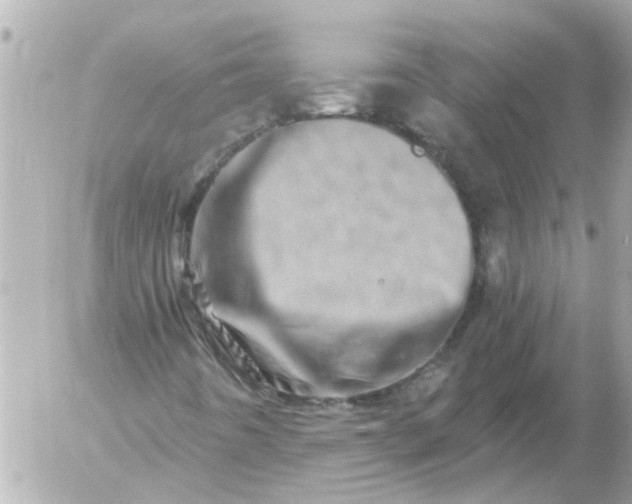 X0000056321442200509092250