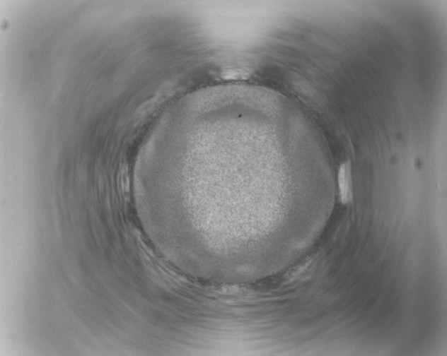 X0000056321443200509092250