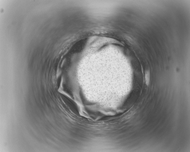 X0000056321444200509092250