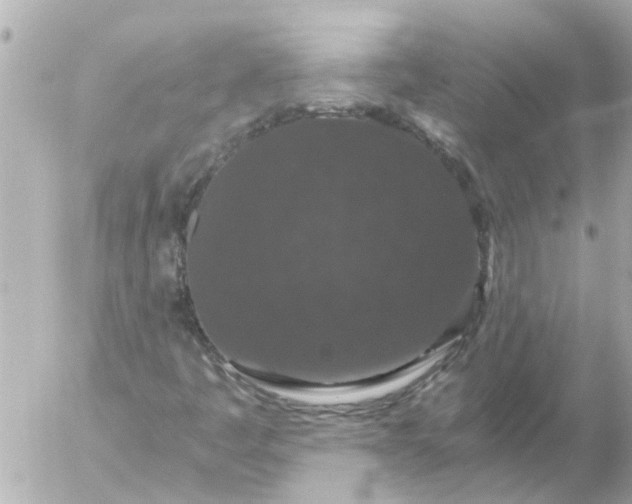 X0000056321445200509092250