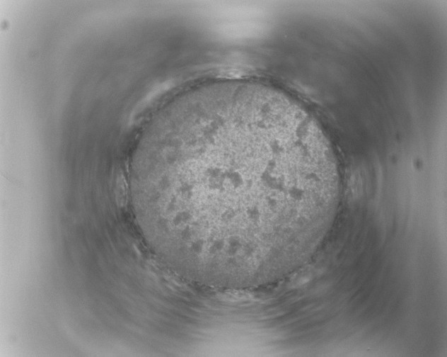 X0000056321446200509092250