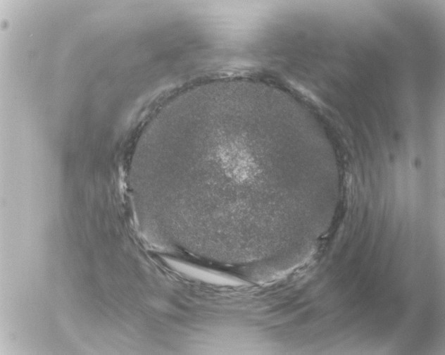 X0000056321447200509092250