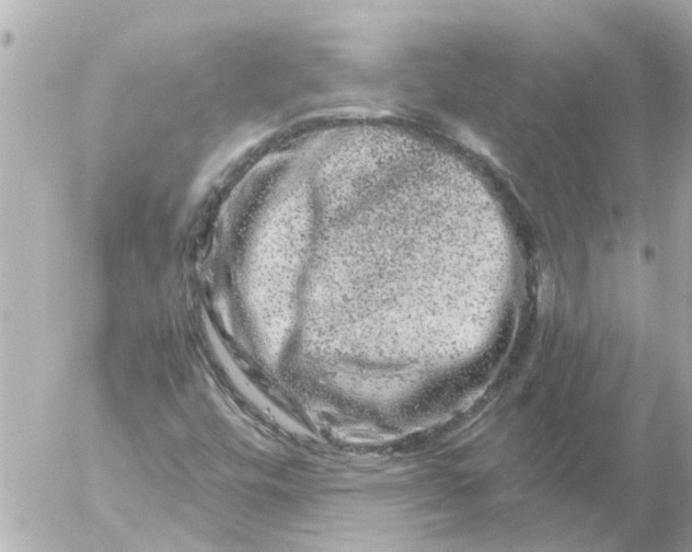 X0000056321448200509092250