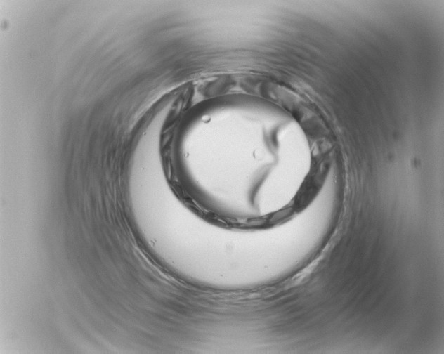 X0000056321449200509092250