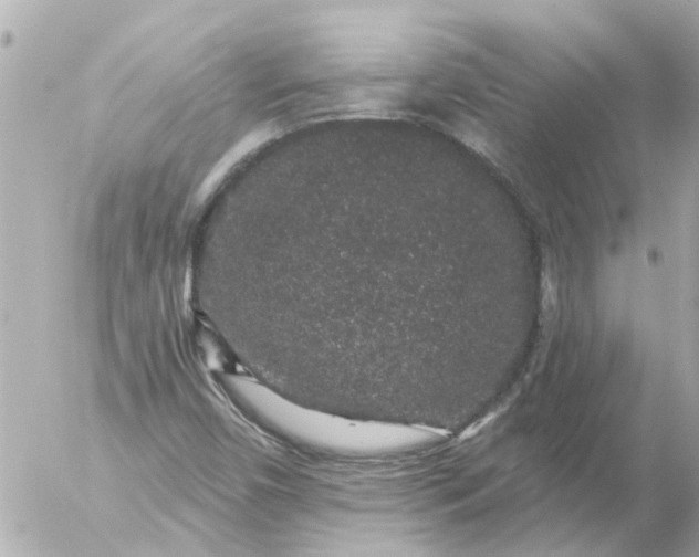 X0000056321450200509092250