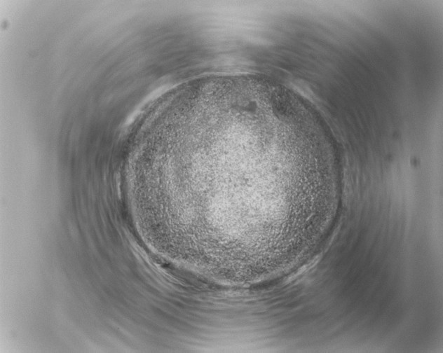 X0000056321451200509092250