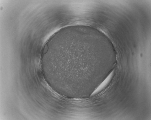 X0000056321452200509092250