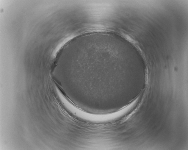 X0000056321453200509092250