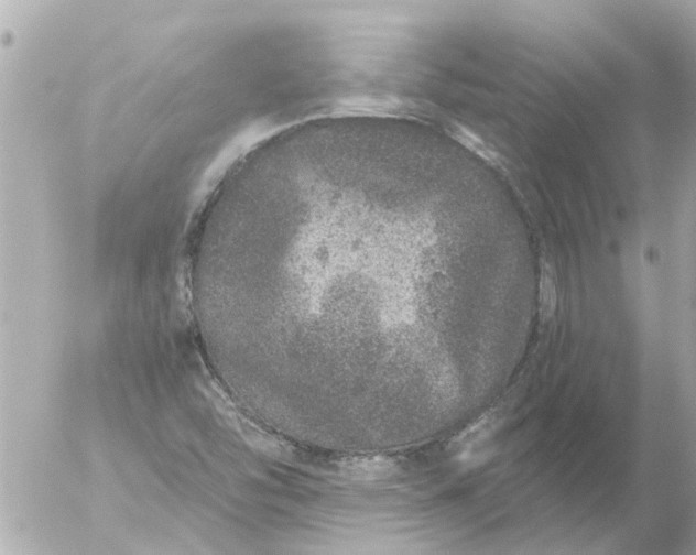 X0000056321454200509092250