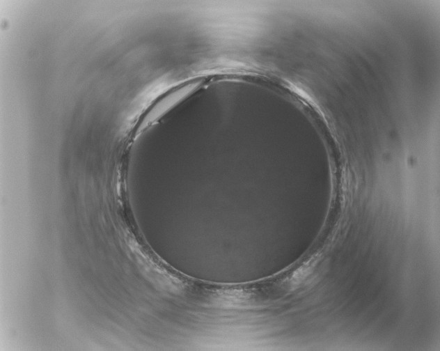 X0000056321455200509092250