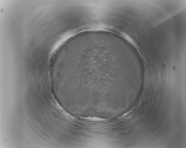 X0000056321456200509092250