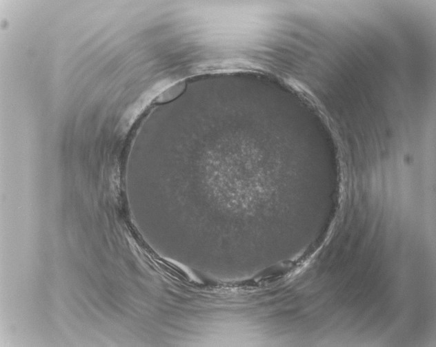 X0000056321457200509092250