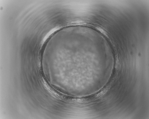 X0000056321458200509092250