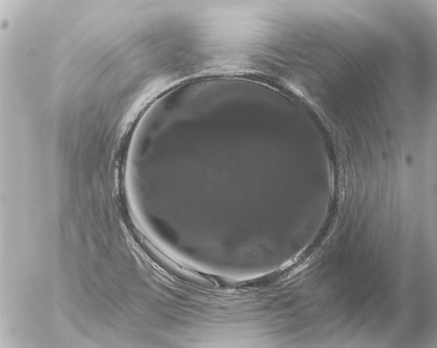 X0000056321459200509092250