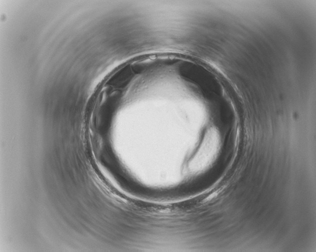 X0000056321460200509092250