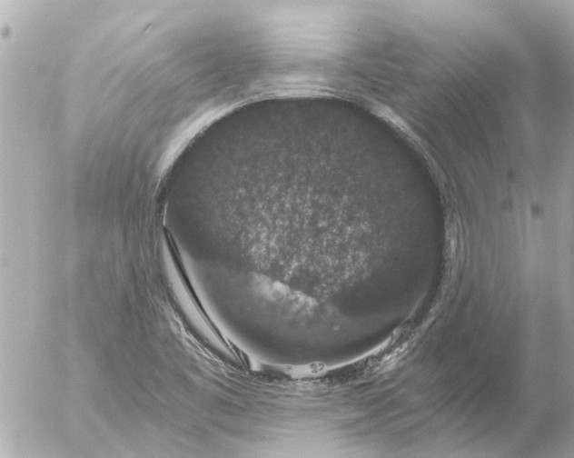 X0000056321461200509092250