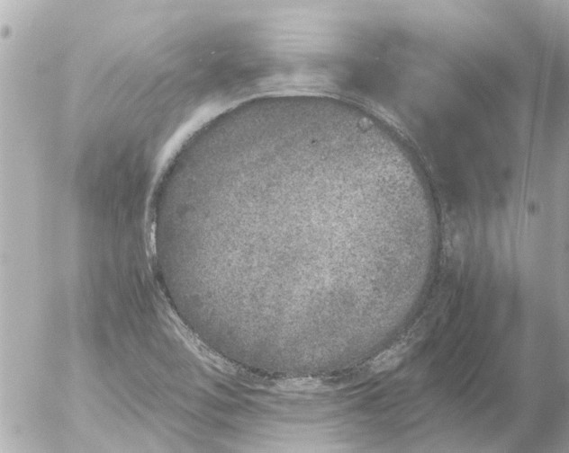 X0000056321462200509092250