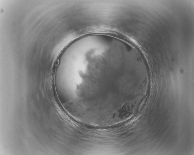 X0000056321463200509092250