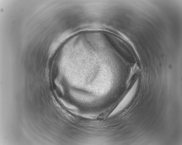 X0000056321464200509092250