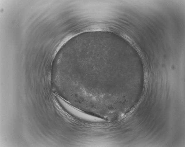 X0000056321465200509092250