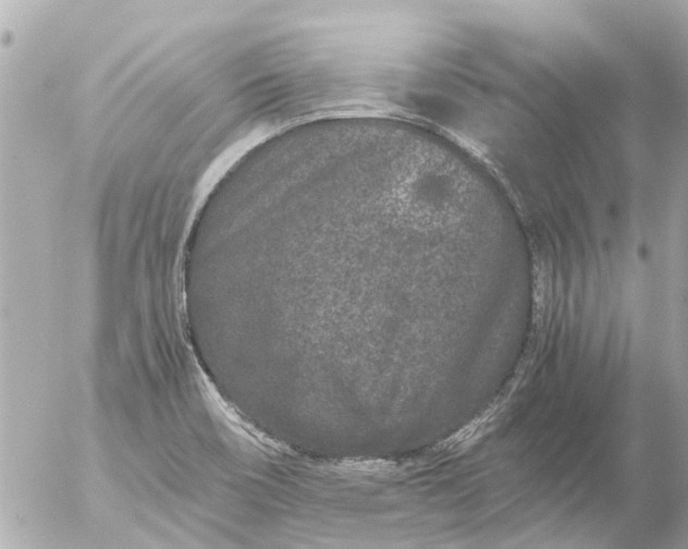 X0000056321466200509092250