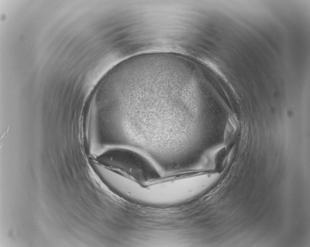 X0000056321468200509092250