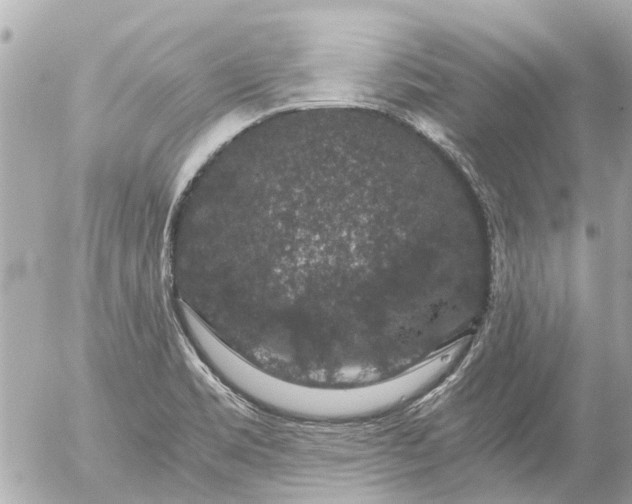 X0000056321469200509092250