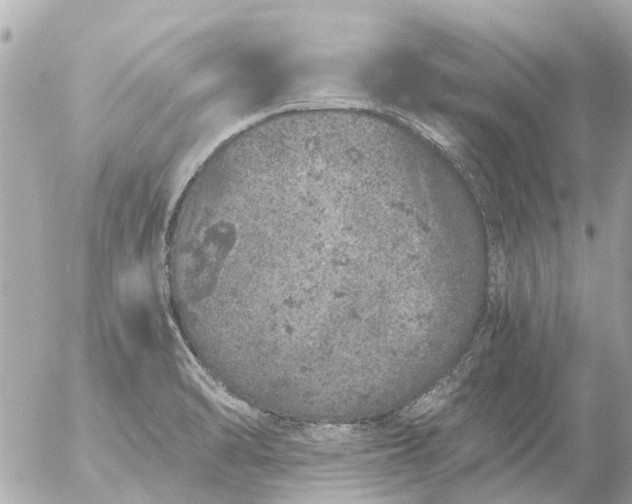 X0000056321470200509092250