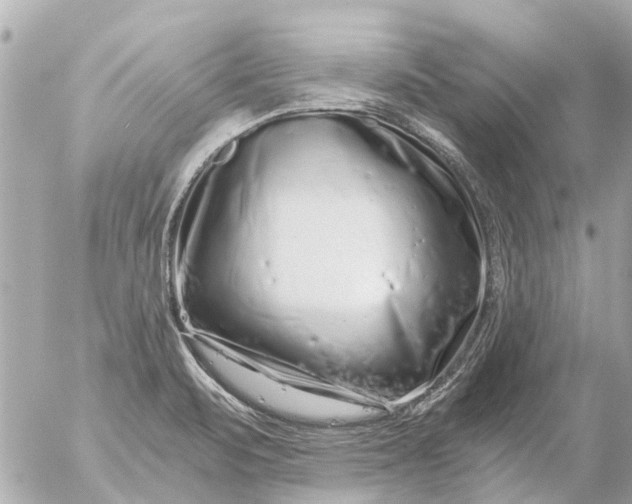 X0000056321471200509092250