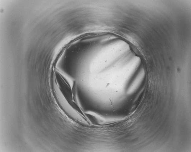 X0000056321472200509092250