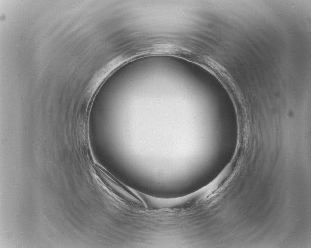 X0000056321473200509092250