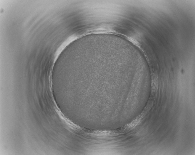 X0000056321474200509092250