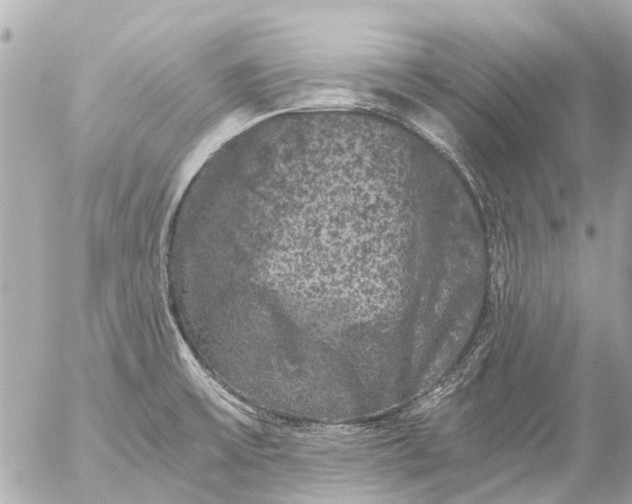 X0000056321475200509092250